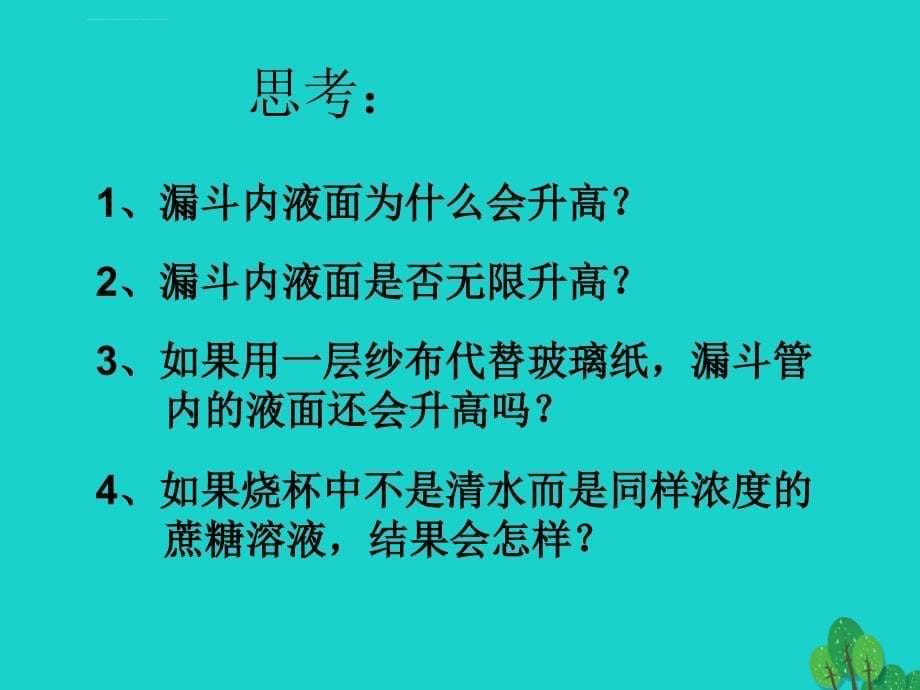 高中生物 第3章 细胞的代谢 3_2 物质出入细胞的方式课件 浙科版必修11_第5页