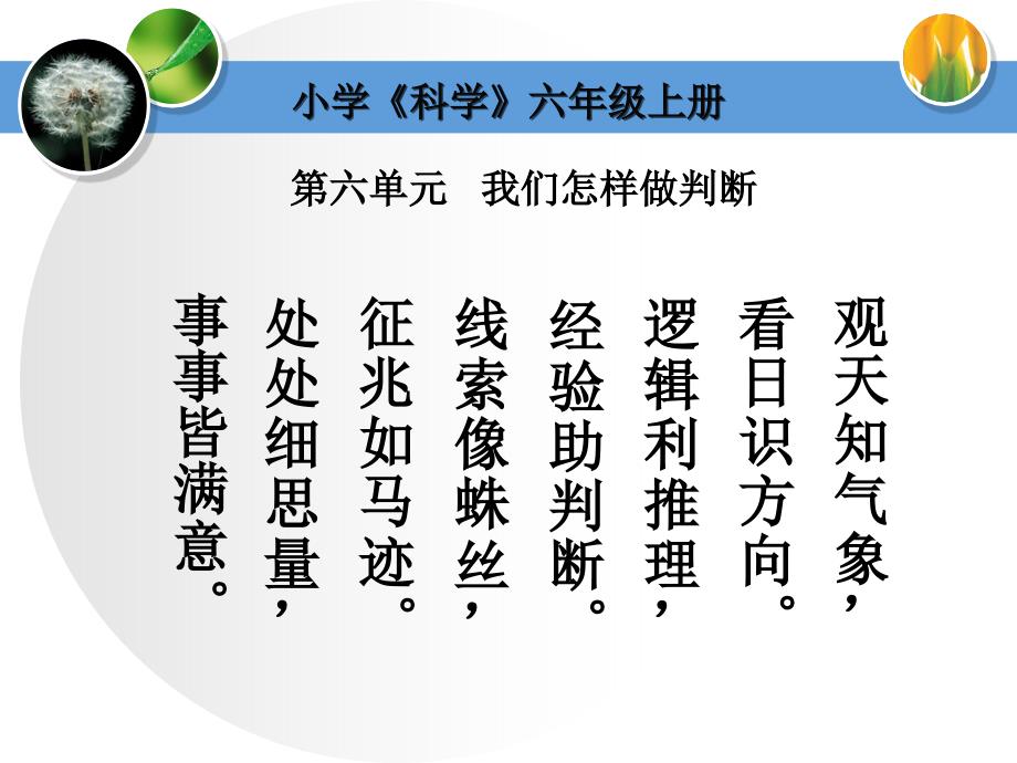 湘教版科学6年级上册6-2科学自己做,我也能成功_第2页