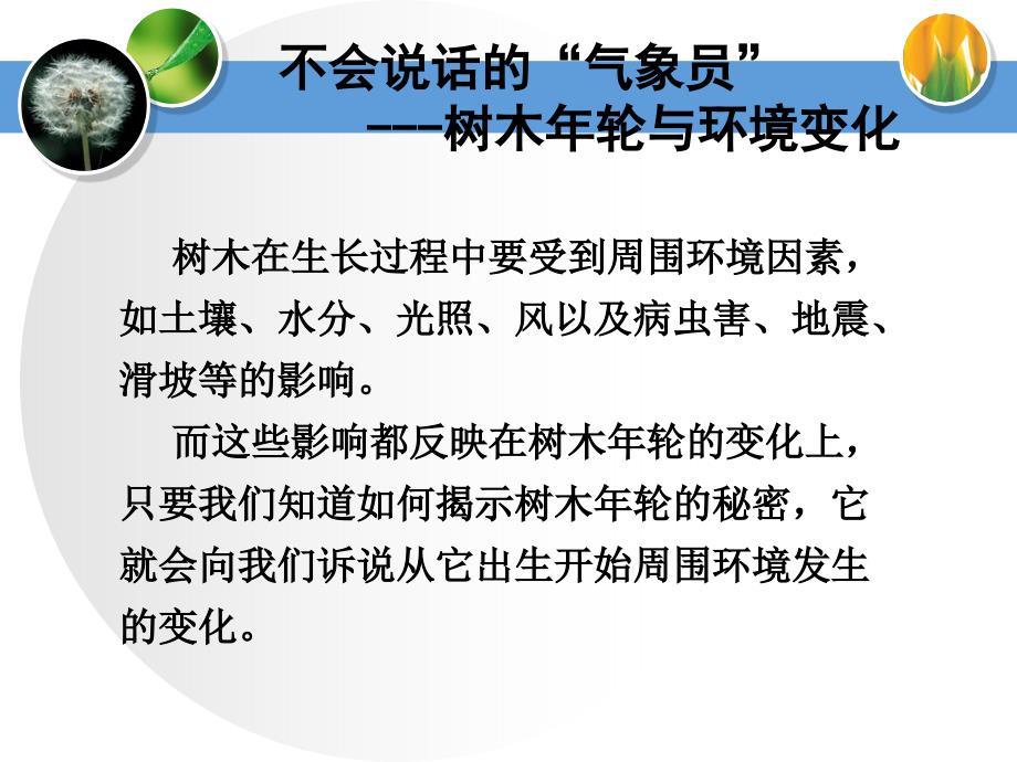 湘教版科学6年级上册6-2科学自己做,我也能成功_第4页