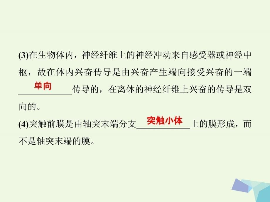 高考生物考前冲刺复习 第1部分 专题突破方略 专题九 动物和人体生命活动的调节课件_第5页