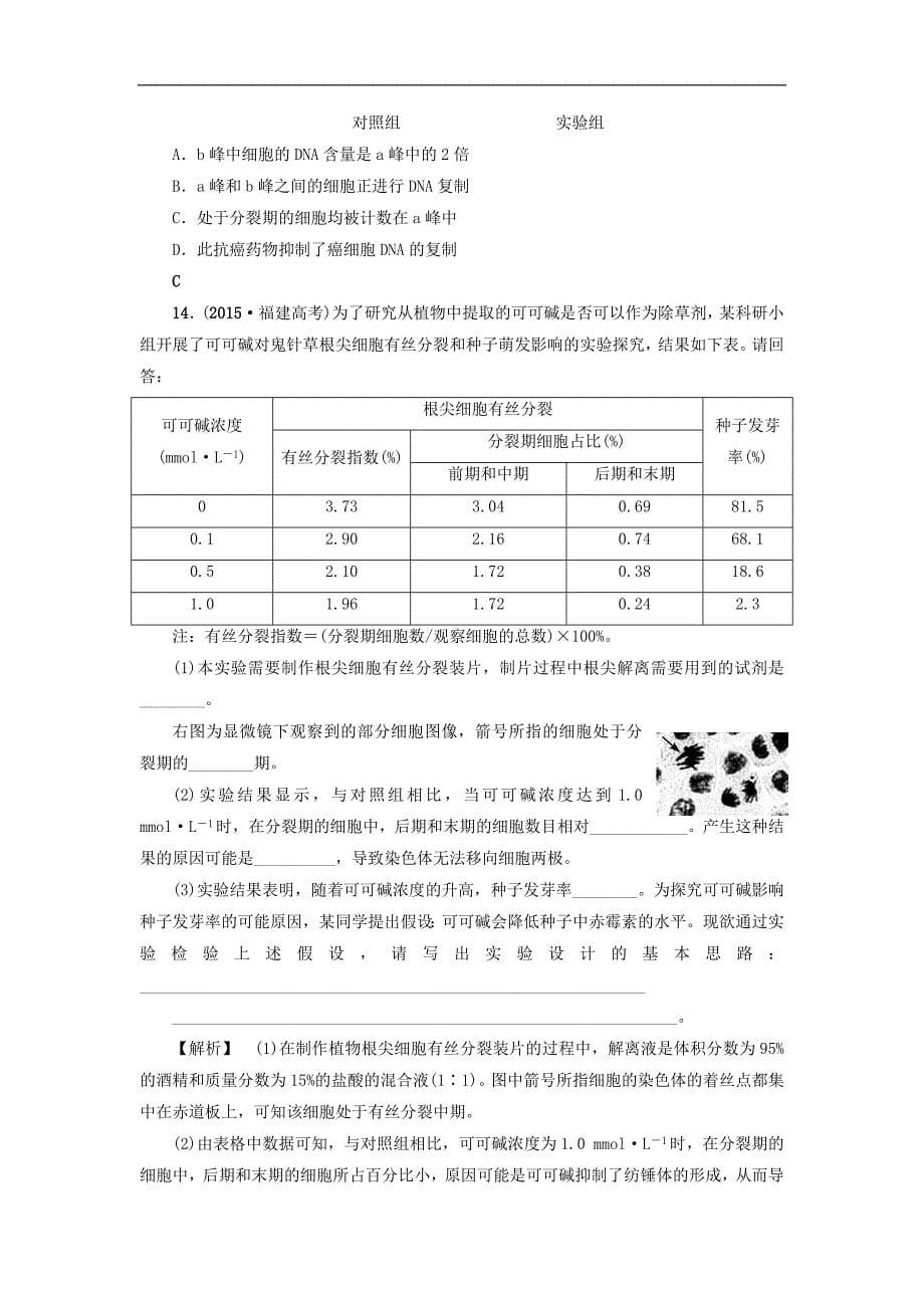 2018届高三生物（人教版）一轮复习分层训练：必修1第4单元 第1讲 细胞的增殖_第5页