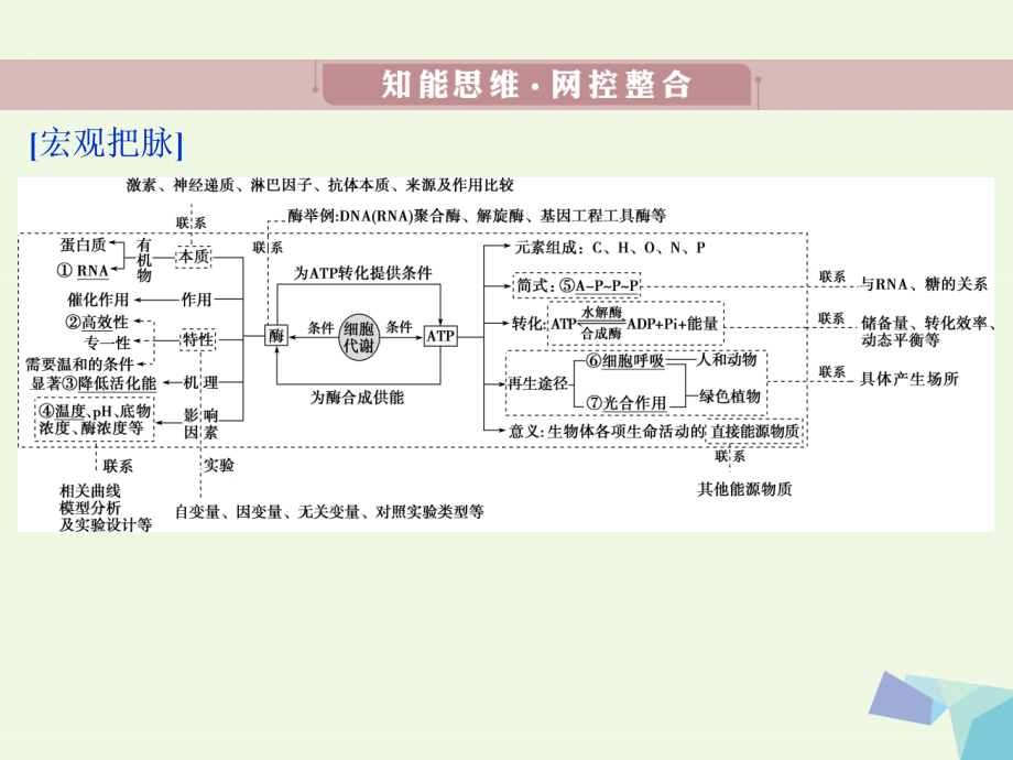 高考生物考前冲刺复习 第1部分 专题突破方略 专题三 细胞内的酶和atp课件_第3页