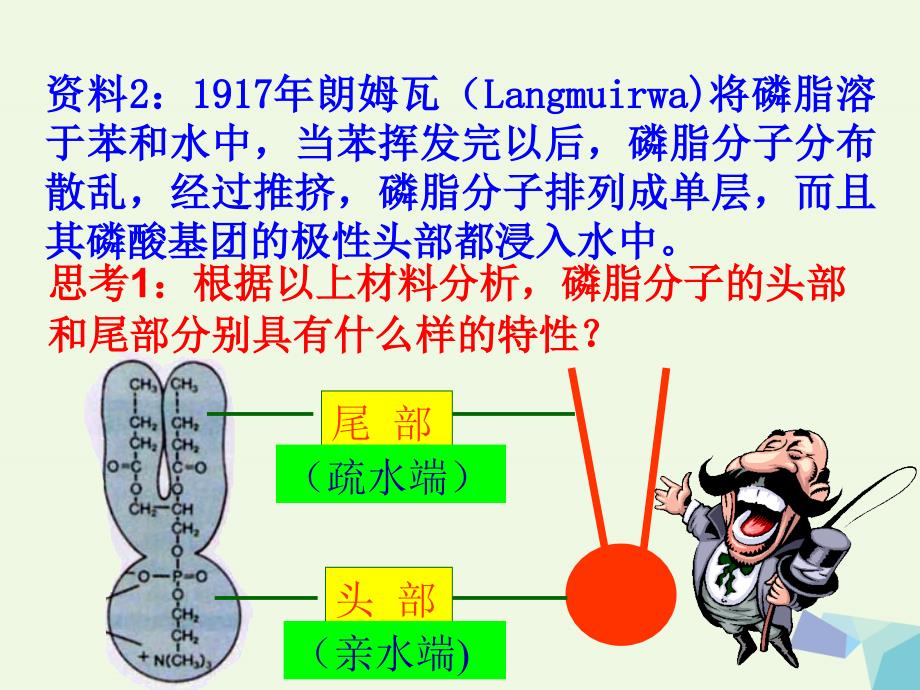 高中生物第一单元有机体中的细胞第一章细胞概述第二节细胞的形态和功能课件2中图版必修1_第4页