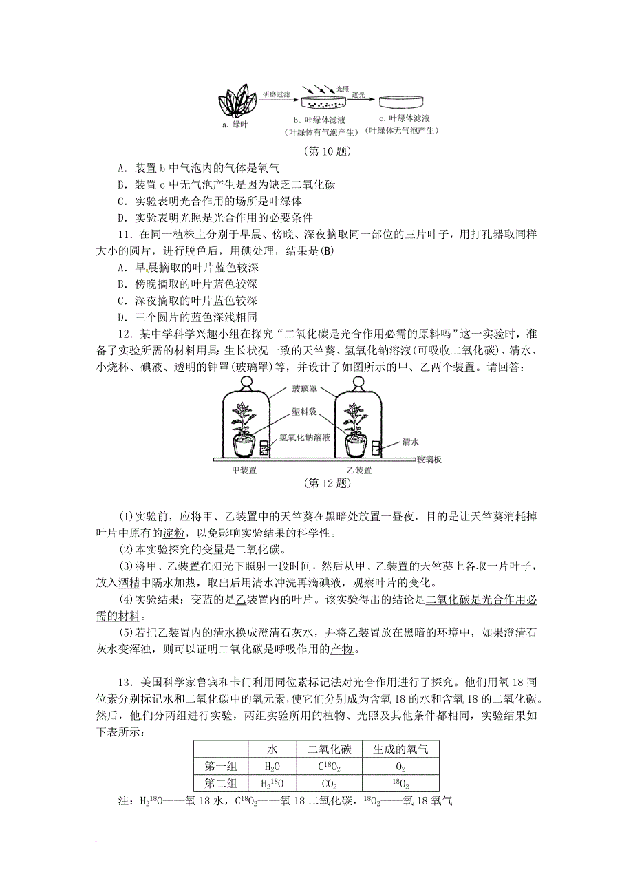 八年级科学下册 3_6 光合作用（1）同步练习 （新版）浙教版_第3页