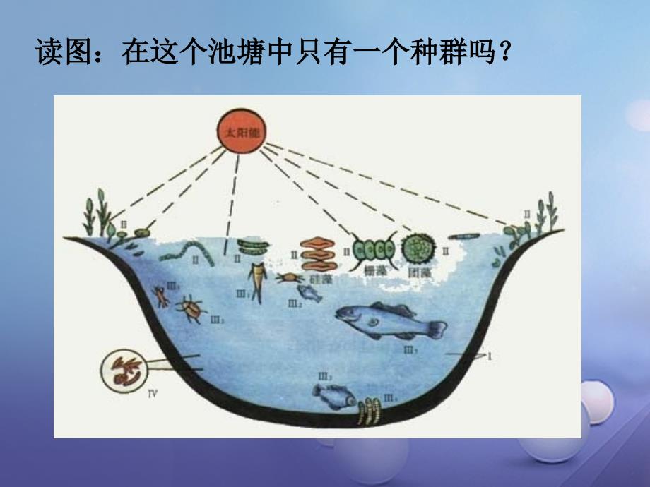 九年级科学下册 2_2-2_3 种群和生物群落（第2课时）课件 （新版）浙教版_第2页