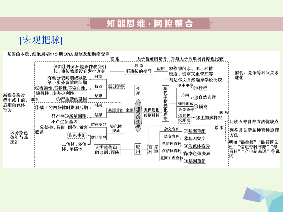 高考生物考前冲刺复习 第1部分 专题突破方略 专题八 变异育种和进化课件_第3页