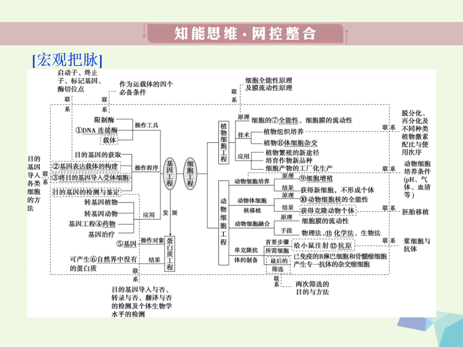 高考生物考前冲刺复习 第1部分 专题突破方略 专题十六 基因工程和细胞工程课件_第3页