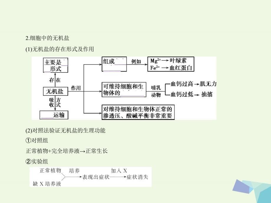 高考生物冲刺复习 专题1 细胞的分子组成课件_第5页