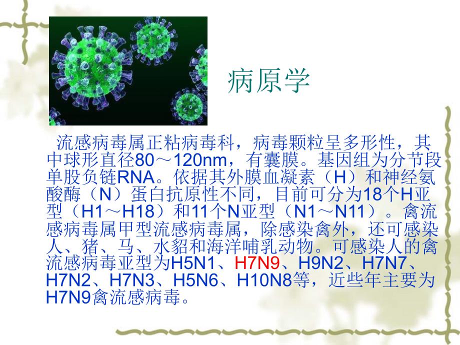 h7n9禽流感知识讲座_第3页