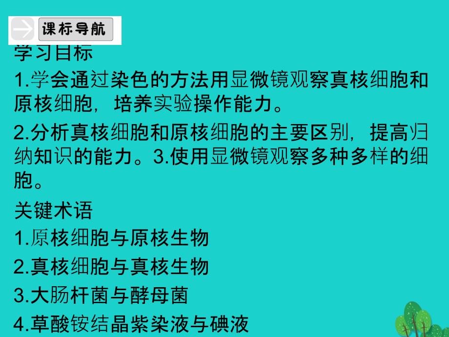 高中生物 第一单元 有机体中的细胞 第二章 细胞的构成 1_2_3 真核细胞与原核细胞课件 中图版必修1_第3页