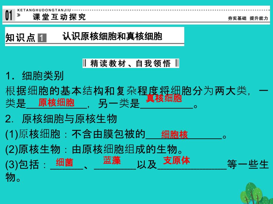 高中生物 第一单元 有机体中的细胞 第二章 细胞的构成 1_2_3 真核细胞与原核细胞课件 中图版必修1_第4页