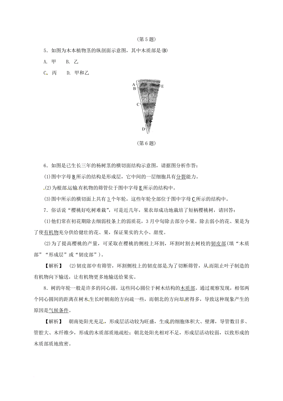 八年级科学下册 4 植物与土壤 分组实验 观察木质茎的结构同步练习 （新版）浙教版_第2页