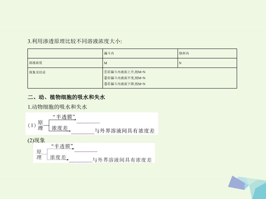 高考生物冲刺复习 专题3 物质出入细胞的方式课件_第4页