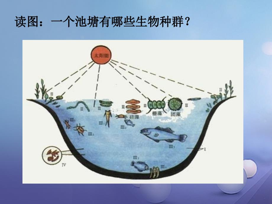 九年级科学下册 2_2-2_3 种群和生物群落（2）课件 （新版）浙教版_第2页