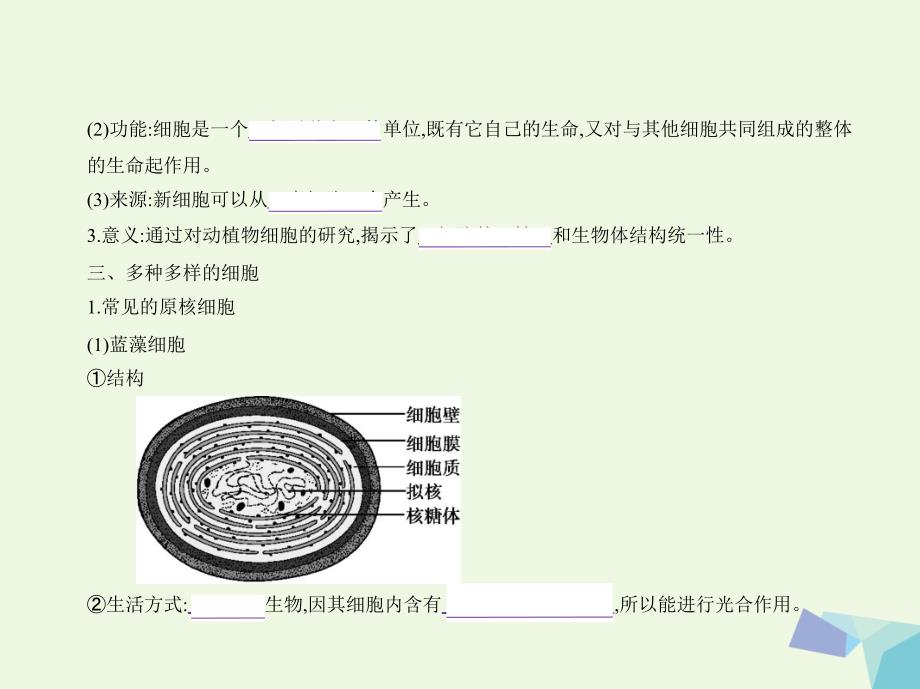 高考生物冲刺复习 专题2 细胞的结构与功能课件_第4页