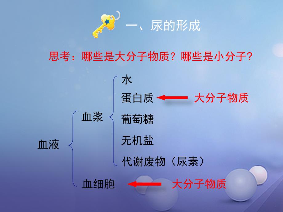 七年级生物下册11_2尿的形成与排出第2课时课件北师大版_第4页