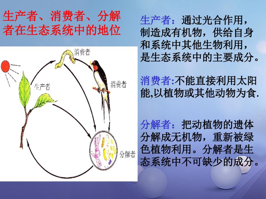 九年级科学下册 2_4 生态系统的结构和功能（2）课件2 （新版）浙教版_第3页