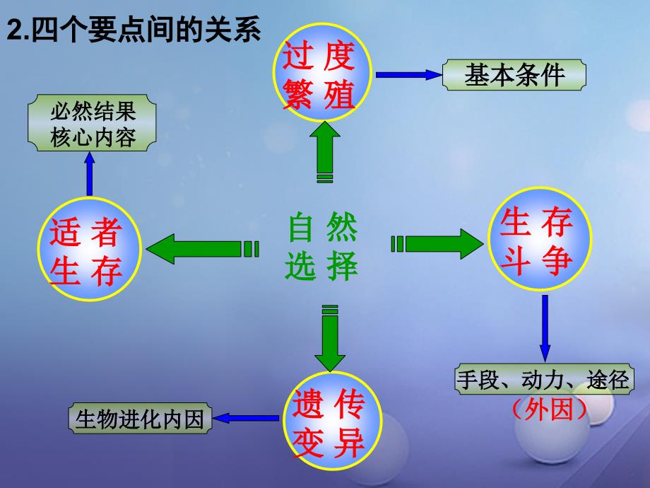 九年级科学下册 1_4 生物的进化（三）课件 （新版）浙教版_第4页