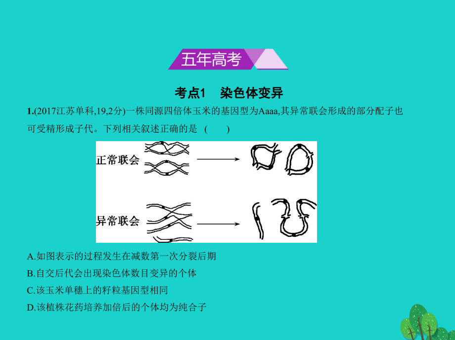 高考生物专题复习 专题15 染色体变异与育种课件 新人教版_第2页