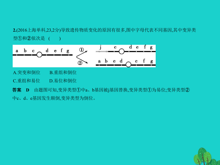 高考生物专题复习 专题15 染色体变异与育种课件 新人教版_第4页