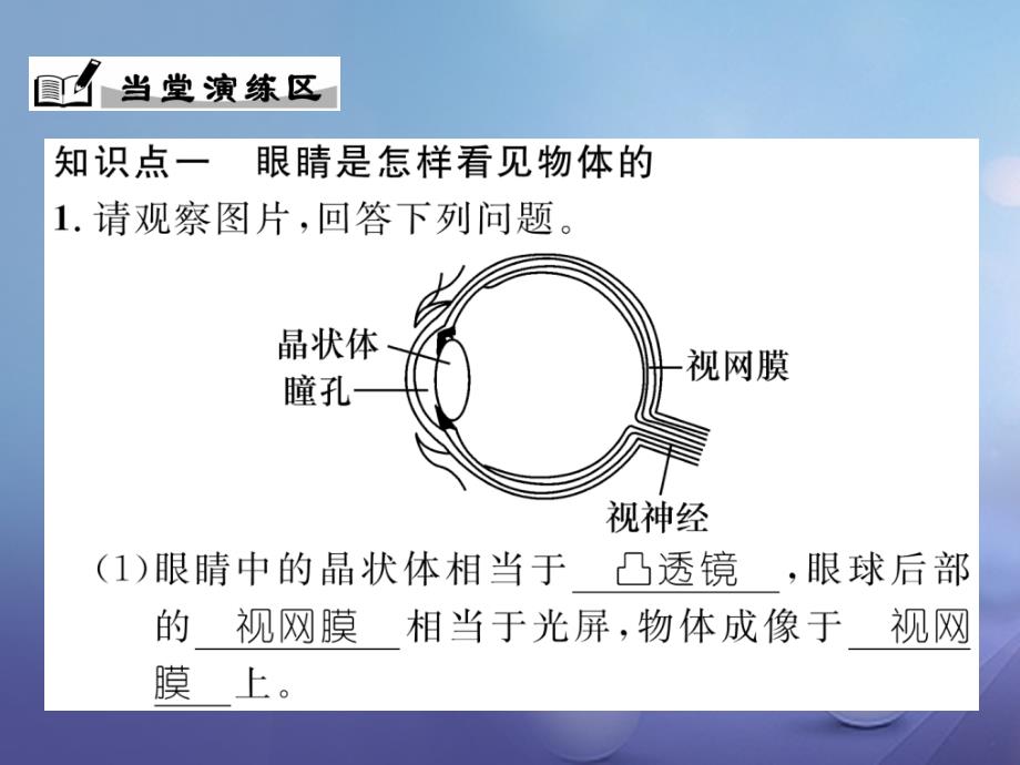 八年级物理上册 3_7 眼睛与光学仪器习题课件 （新版）粤教沪版_第4页