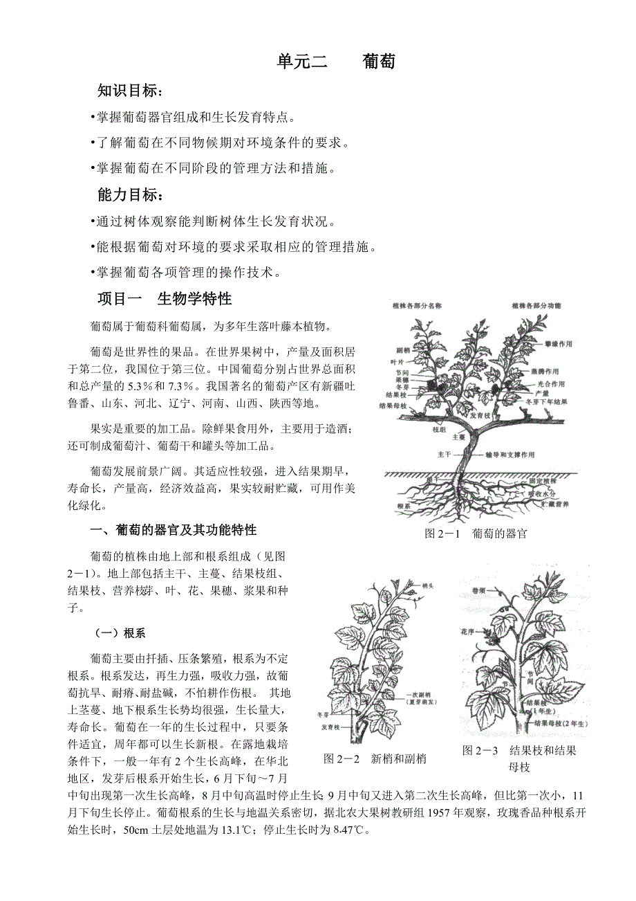 单元二 葡萄_第1页