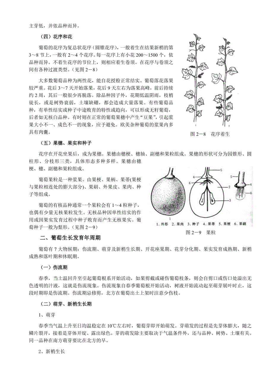 单元二 葡萄_第3页