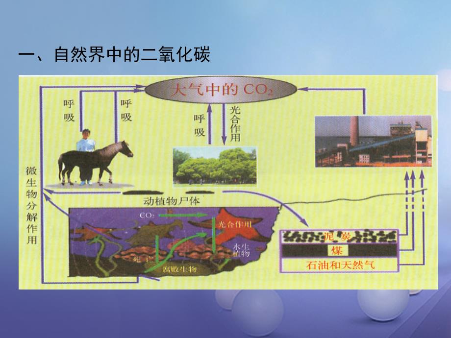 九年级化学全册 2_2 奇妙的二氧化碳教学课件 （新版）沪教版_第2页