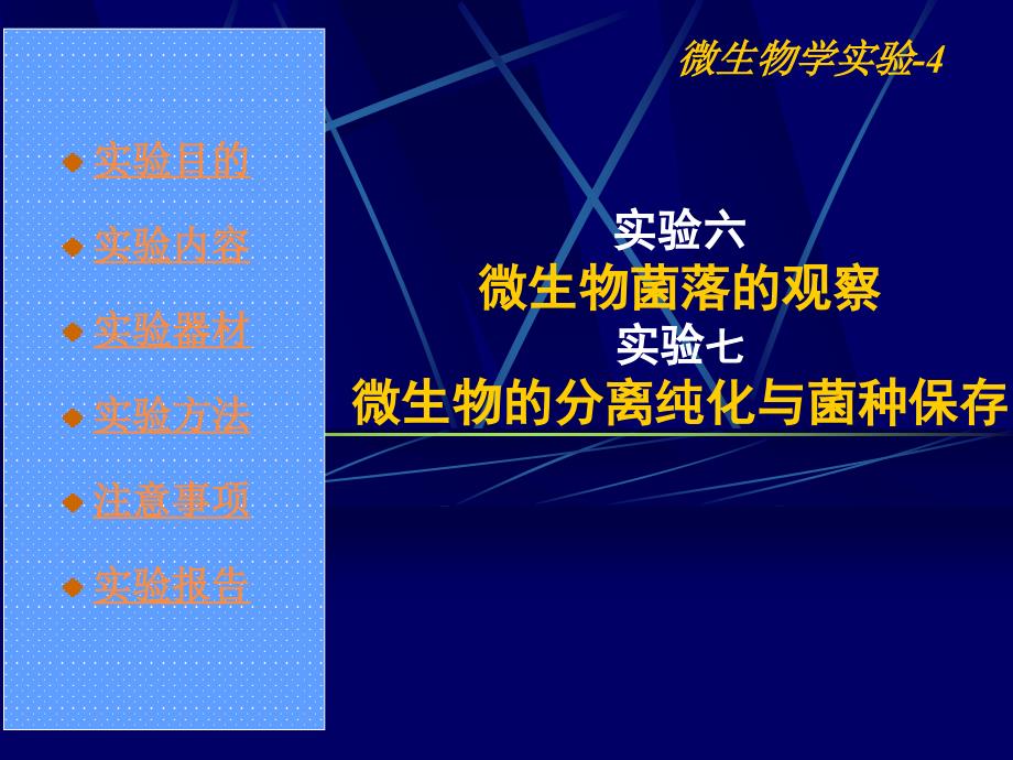 微生物菌落观察;微生物分离纯化及菌种保存_第1页