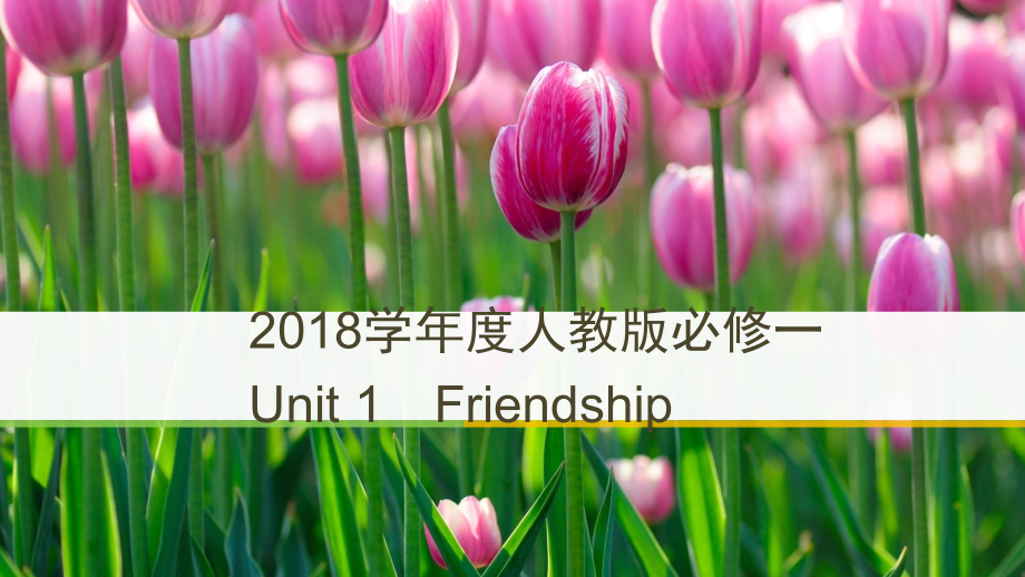 2018学年度人教版必修一unit 1 friendshipperiod onereading 课件（63张）_第1页