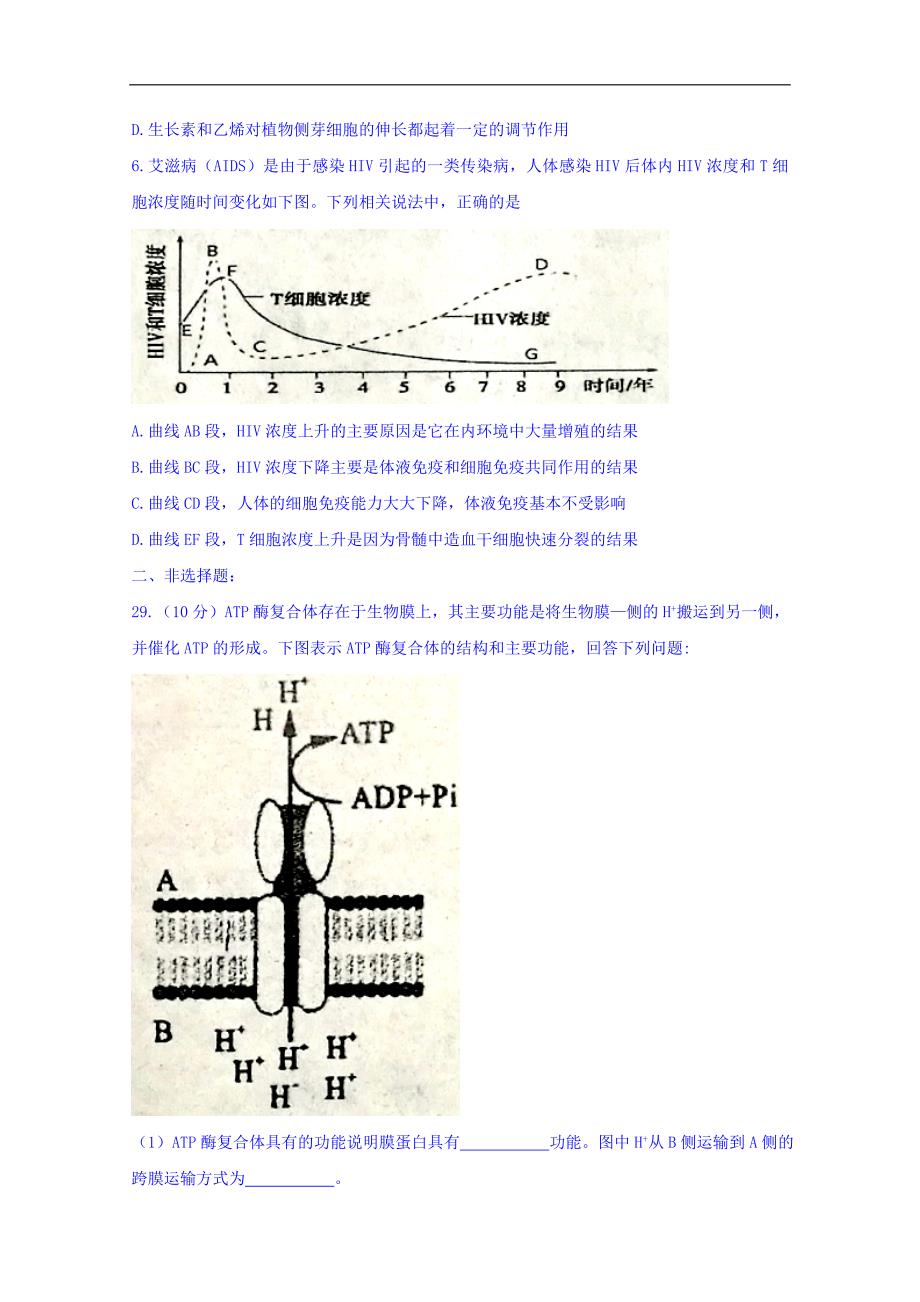 宁夏2018届高三第三次模拟考试理科综合生物试题 word版含答案_第2页