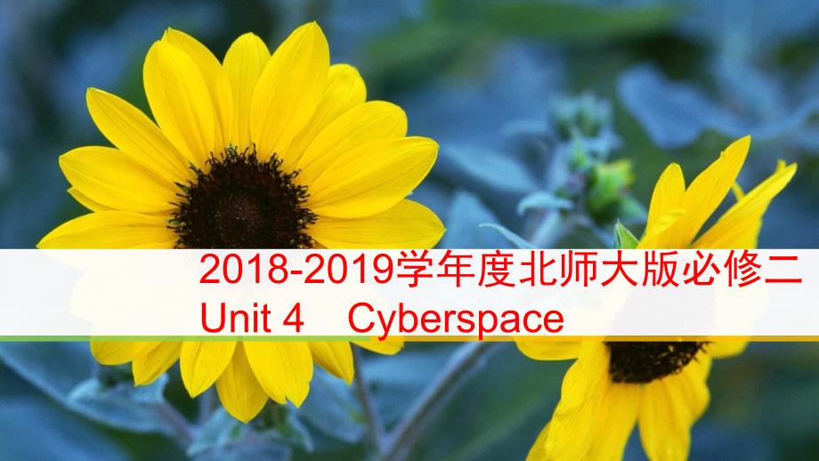 2018-2019学年度北师大版必修二unit 4 cyberspace lesson 3　virtual reality课件（33张）_第1页