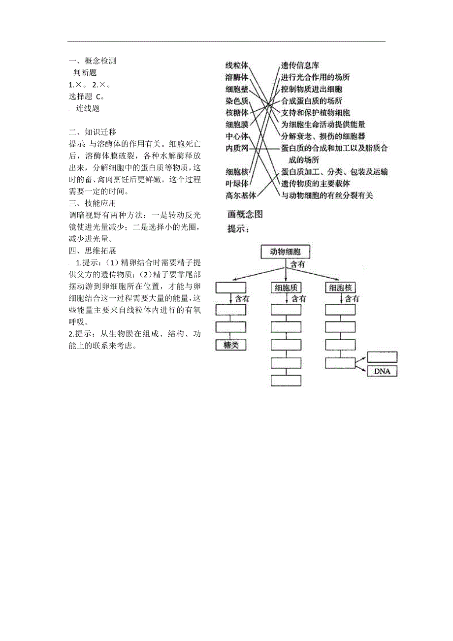 2017-2018学年高一生物人教版必修1教案：3.3 细胞核——系统的控制中心 1_第3页