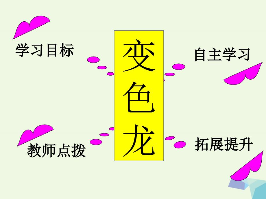 六年级科学上册 变色龙课件3 青岛版_第3页