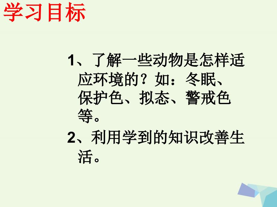 六年级科学上册 变色龙课件3 青岛版_第4页