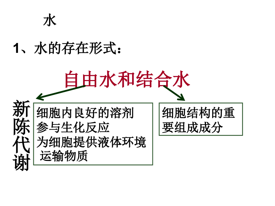 高三生物复习一轮课件_第2页