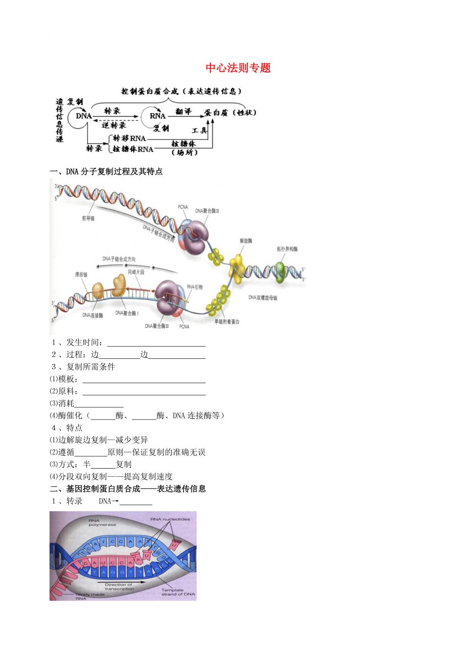 北京市高考生物总复习遗传与进化__遗传综合应用中心法则专题学案无答案_第1页