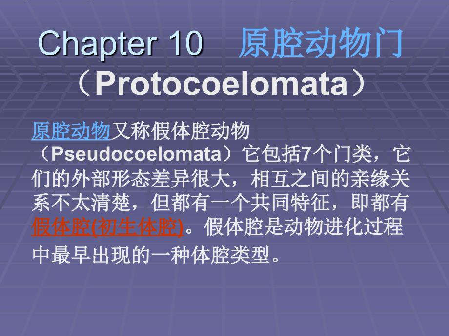 chapter 10 原腔动物门(protocoelomata_第1页