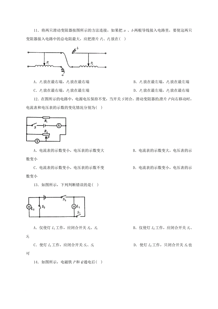 中考物理 专题训练二 电学专题_第3页