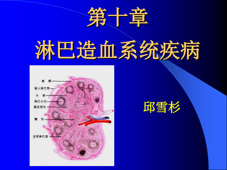 中山医科大学病理学ppt课件第十章淋巴造血系统疾病_第1页