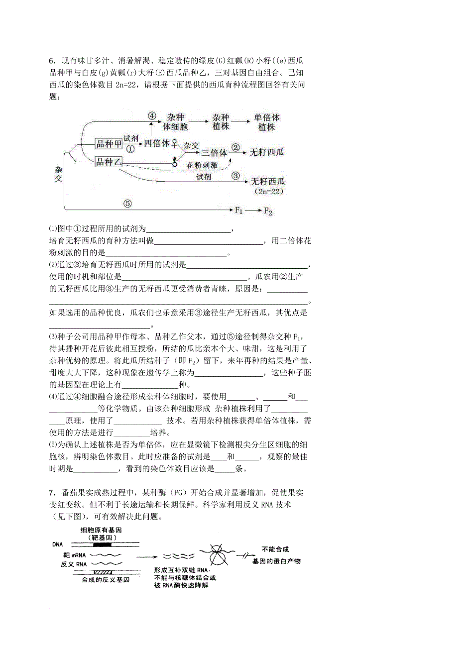 北京市高考生物总复习遗传与进化__遗传综合应用变异与育种专题学案无答案_第3页