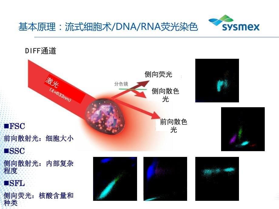 血液分析仪散点图及直方图解读_20160813_第5页