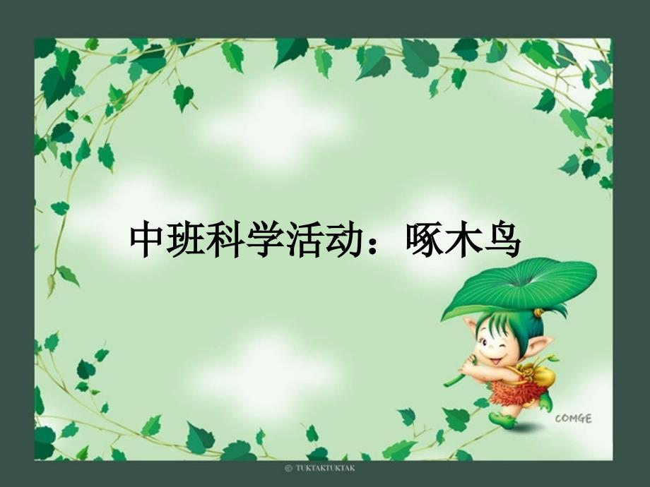 中班科学教案：啄木鸟(课件)_第1页