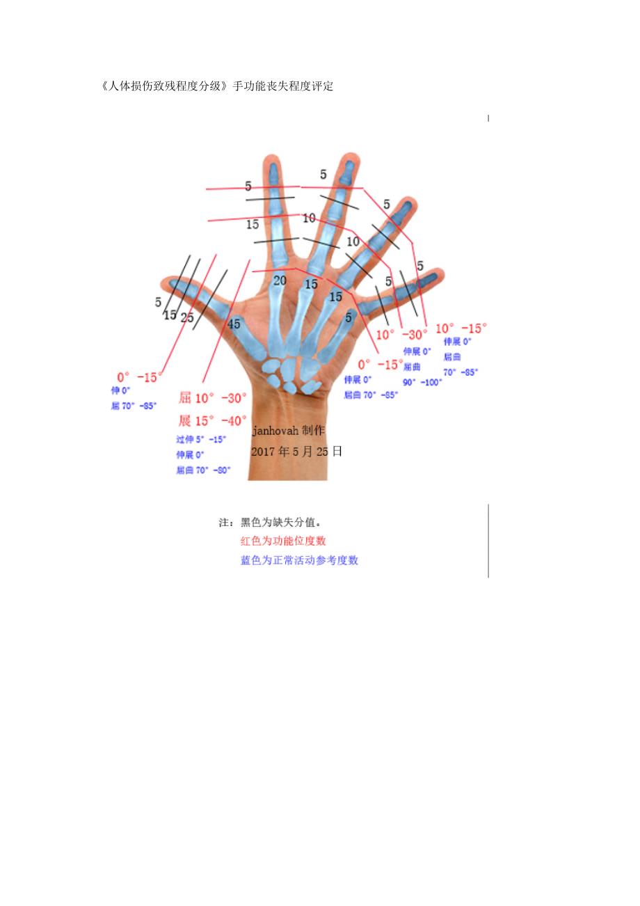 《人体损伤致残程度分级》手功能丧失程度评定_第1页