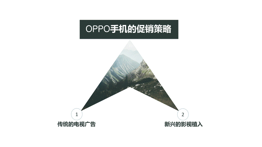 oppo促销策略_第3页