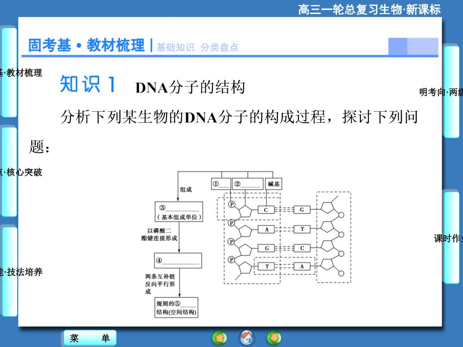 2015《课堂新坐标》高考生物大一轮复习配套课件：必修2-第2单元-第2讲 dna分子的结构、复制与基因的本质_第2页