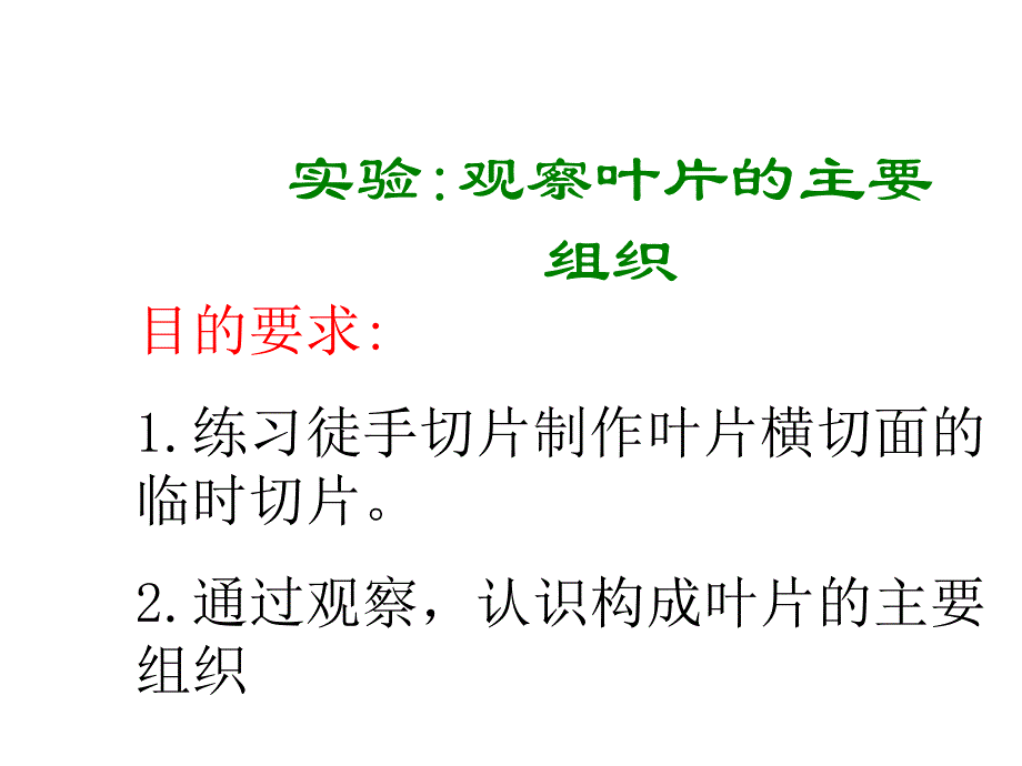 观察叶片的主要组织_第1页
