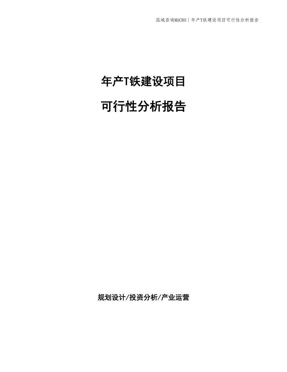 年产T铁建设项目可行性分析报告_第1页