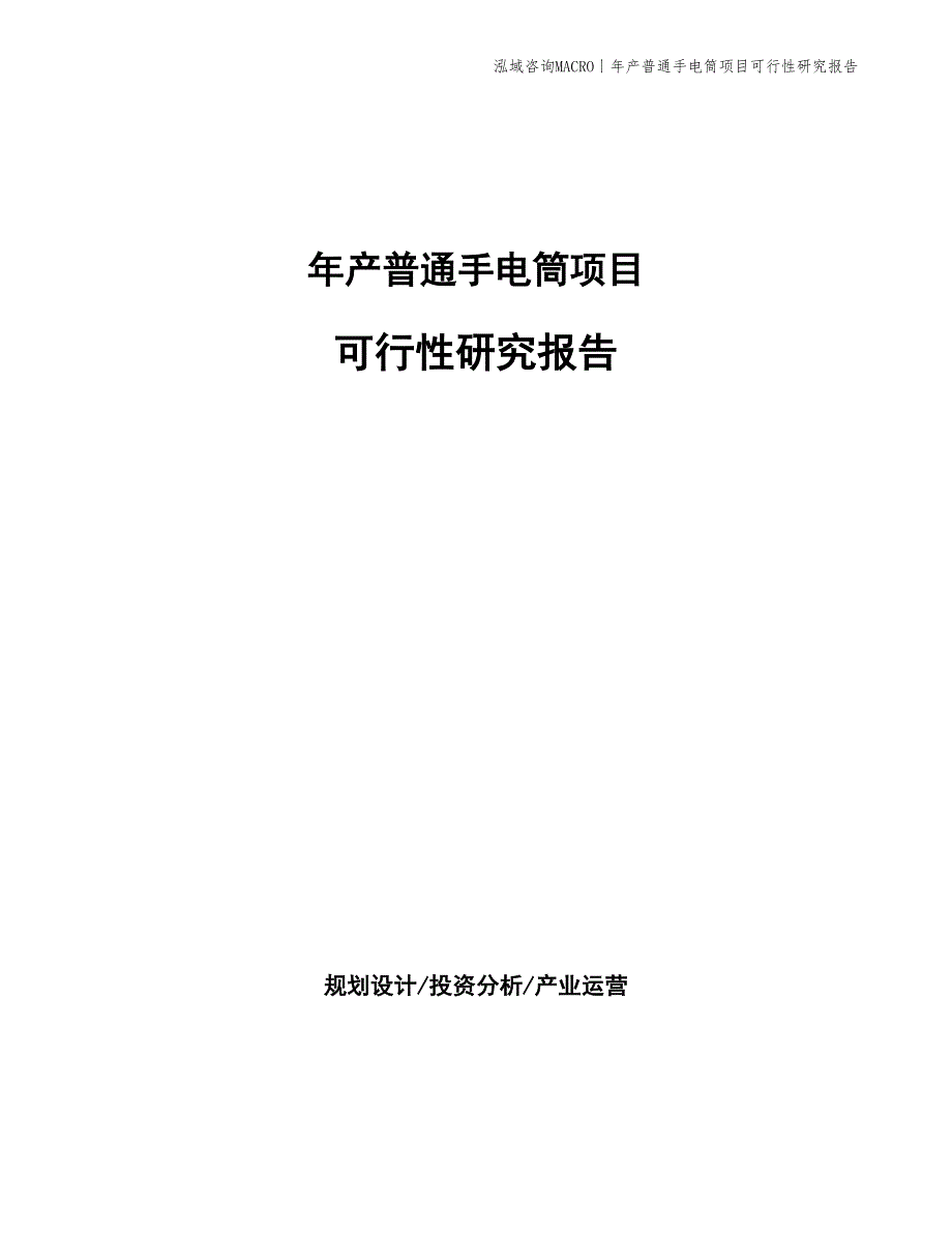 年产普通手电筒项目可行性研究报告_第1页