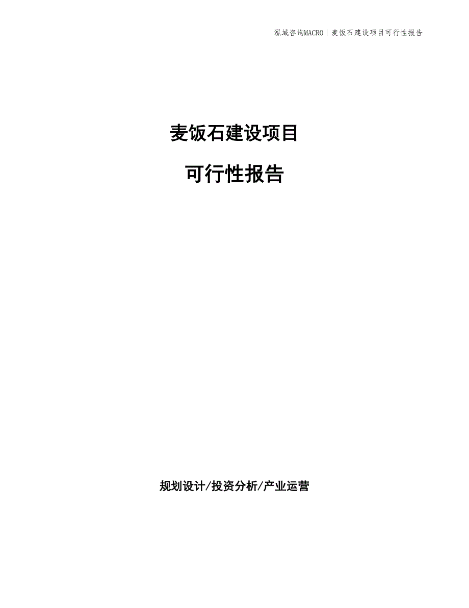 麦饭石建设项目可行性报告_第1页